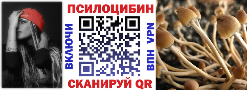Псилоцибиновые грибы GOLDEN TEACHER  Ясный 